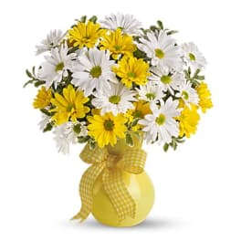 Upsy Daisy
