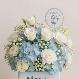 New Baby-It's a Boy!