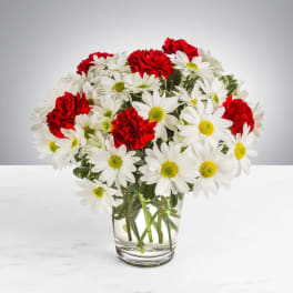 Daisy Crazy by BloomNation™