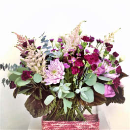 Bonita Bay Garden Lovers Mix