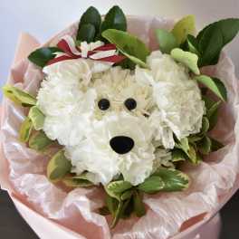 Puppy Bouquet - White