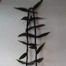 Black braided hanging planter with small green leaves