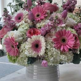Petal Haus