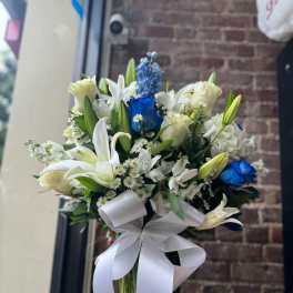 Designer's Choice Blue & White