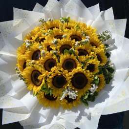 Sunflowers