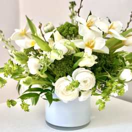 Clean whites + brights- Spring edition!
