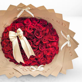 XO Valentine