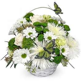 Irish Luck Basket