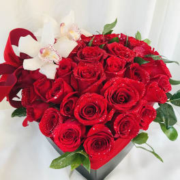 Heart of Roses