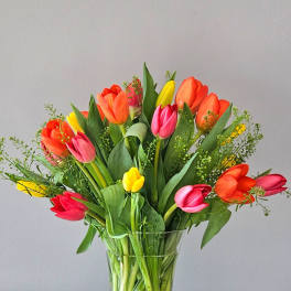 Tulip Time