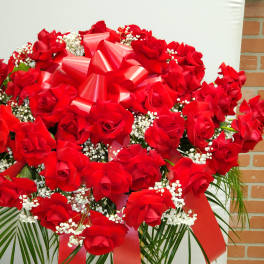 Red roses Casket