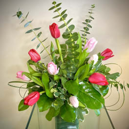 Thrilling Tulips
