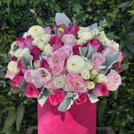 Pink Dream