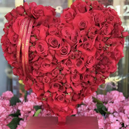 Cupids heart