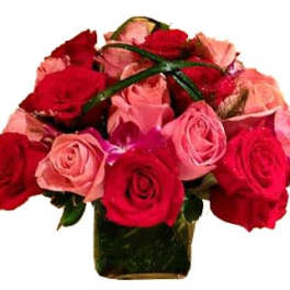 Hugs and Kisses with 24 Roses