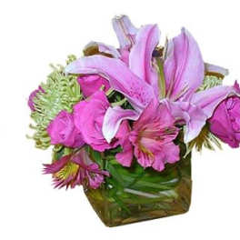 Girls Night out, with mixed flowers arranged in a glass cube.