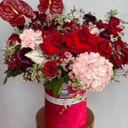 Blushing Romance - Red Velvet Valentine Collection