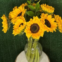 Sunflowers