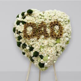 "DAD' Heart