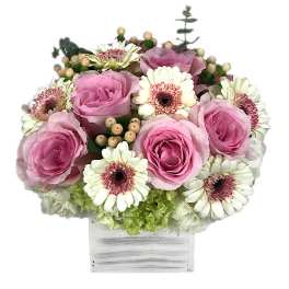 Pink roses and white gerbera daisies in a white wooden box