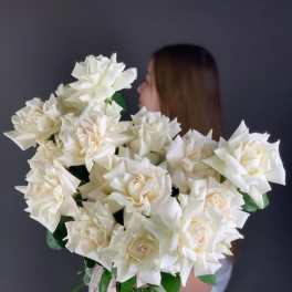 Ivory promise