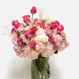 Blush Noir