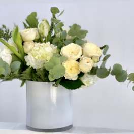 IVORY ELEGANCE