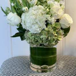 MAGIC OF WHITES