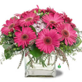 Pink gerbera daisy bouquet in a clear glass vase