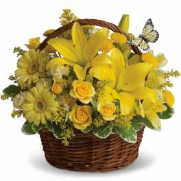 Basket Full of Wishes