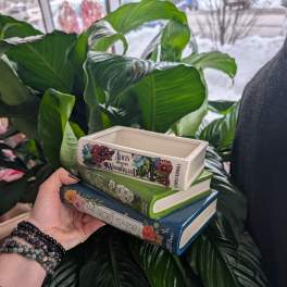 Stack of three decorative book-shaped planters held in front of large green leaves.