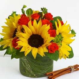 Sunny Sunflowers