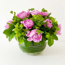Peony Garden