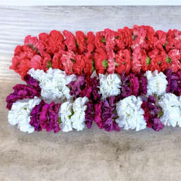 Carnation Lei