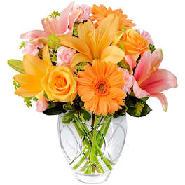Brighten Your Day