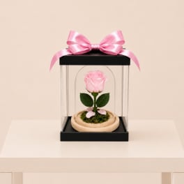 Forever Rose – Soft Pink (Height: 6.69 ")
