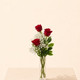 Long-Stem Rose Trio