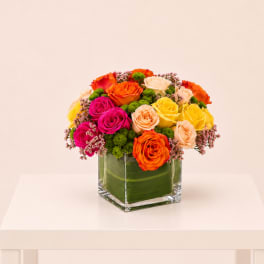 Vibrant Garden Blooms