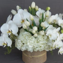 White orchids and hydrangeas arranged in a burlap-wrapped container