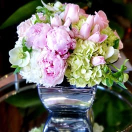 Bel Air Gardens Road peonies