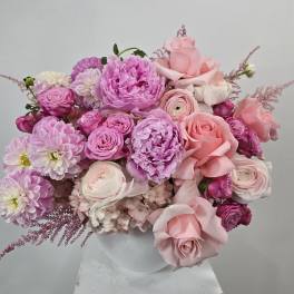 The Blush Romance