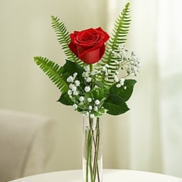 Love's Embrace Roses - Red
