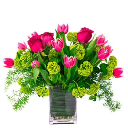 Graceful Tulips