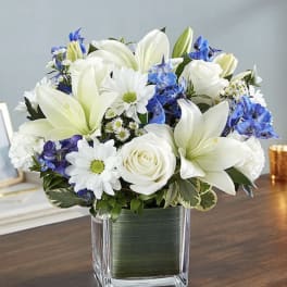 Healing Tears Blue & White