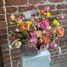 Butterfly - Santa Clarita Florist