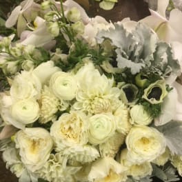 Designer's Choice - White Glamour
