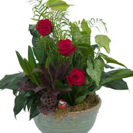 ROSY DISH GARDEN