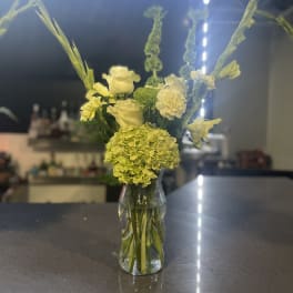 Green Delight