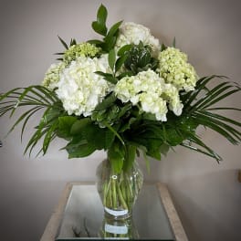 Classic Hydrangeas