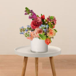 Designer’s Choice – Bright & Cheerful